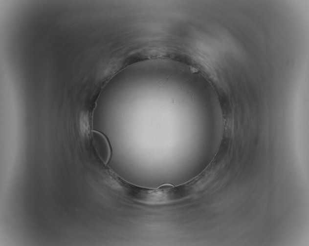 X0000112950335200908241348