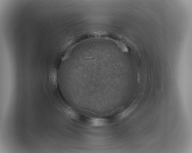 X0000112950336200908241347