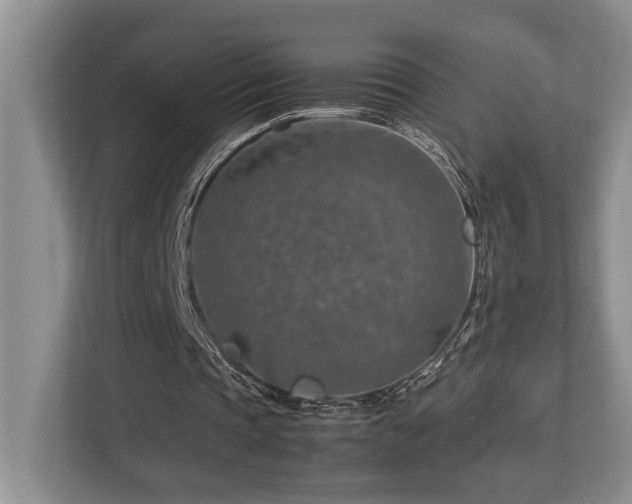 X0000112950337200908241347