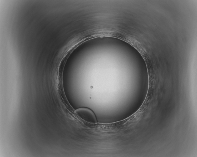 X0000112950338200908241347