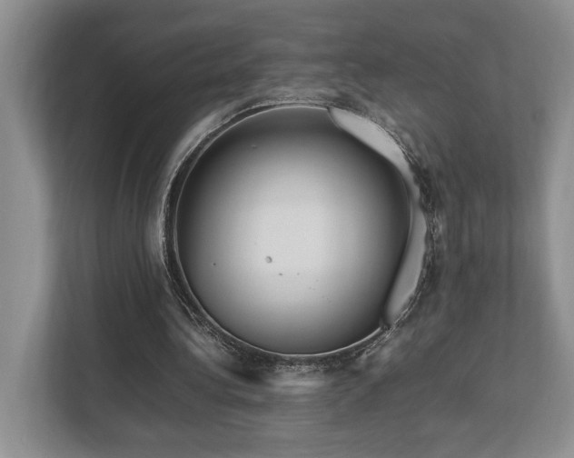 X0000112950340200908241347