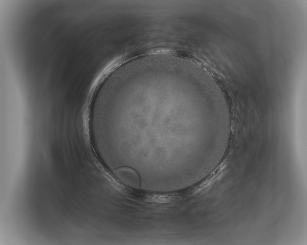 X0000112950341200908241347