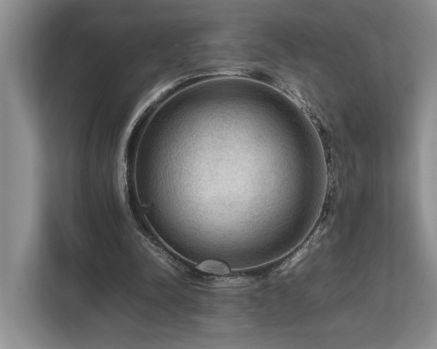 X0000112950342200908241347