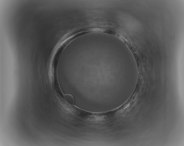 X0000112950343200908241347