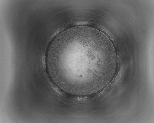 X0000112950345200908241347