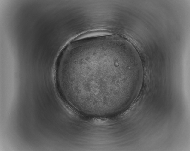 X0000112950346200908241347