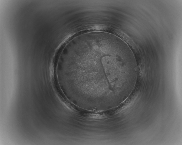 X0000112950347200908241347