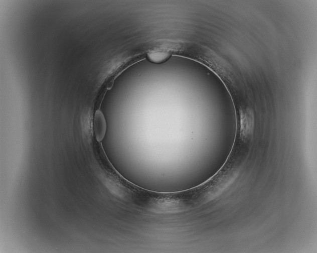 X0000112950348200908241347