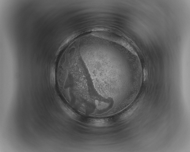 X0000112950349200908241347