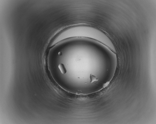 X0000112950350200908241347