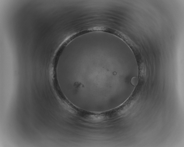 X0000112950351200908241347