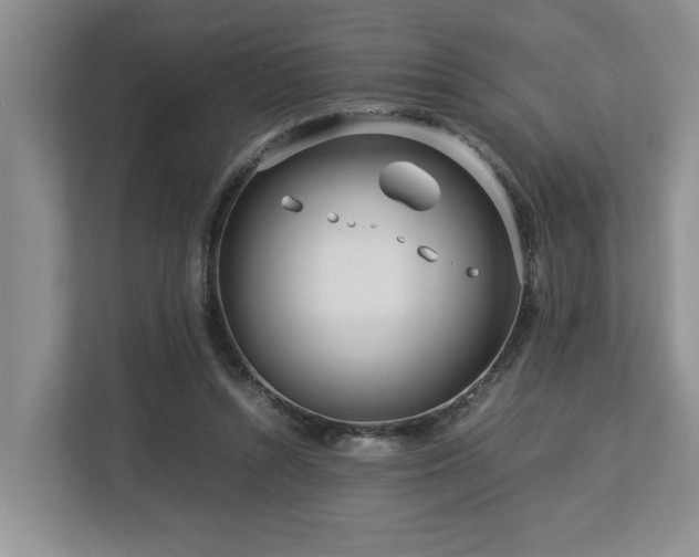 X0000112950352200908241347