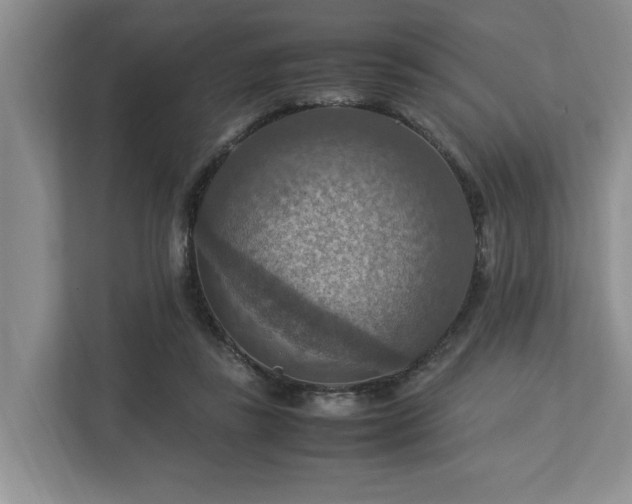 X0000112950355200908241347