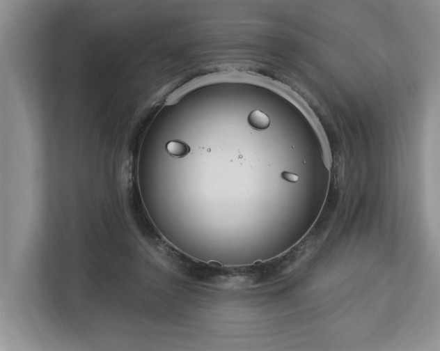 X0000112950356200908241347