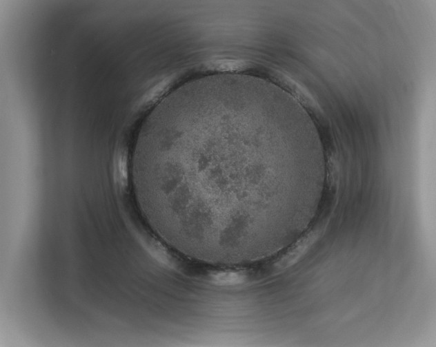 X0000112950358200908241347