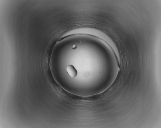 X0000112950360200908241347