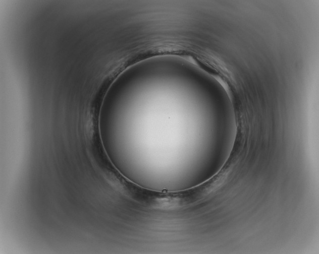 X0000112950362200908241347