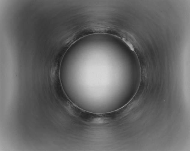 X0000112950364200908241347