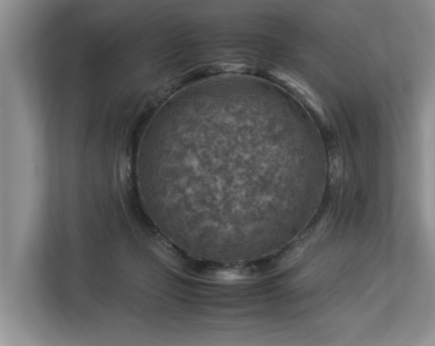 X0000112950365200908241347