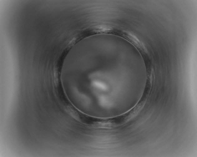 X0000112950366200908241347