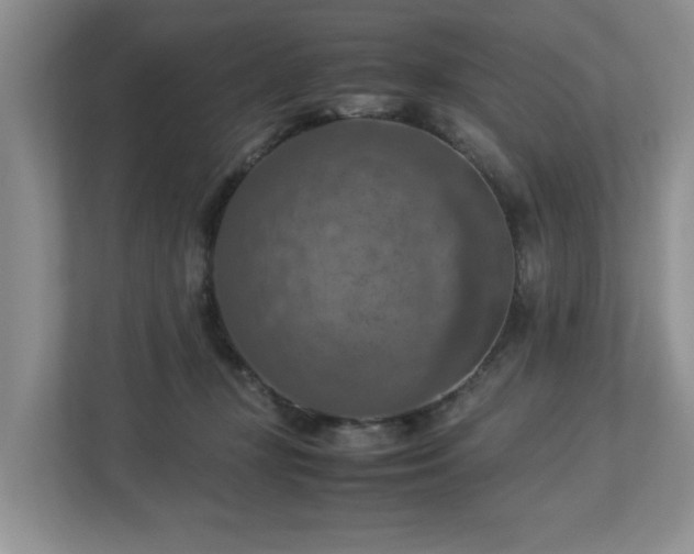 X0000112950367200908241347