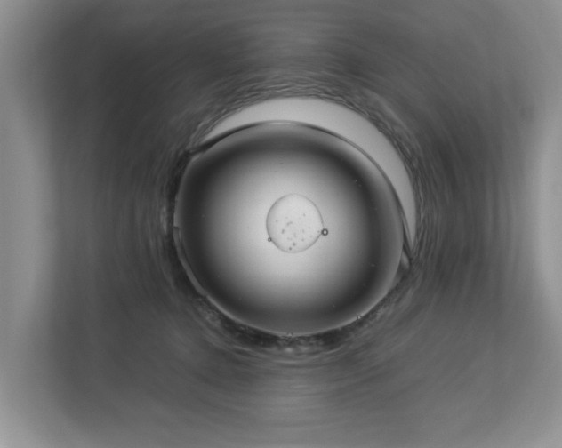 X0000112950368200908241347