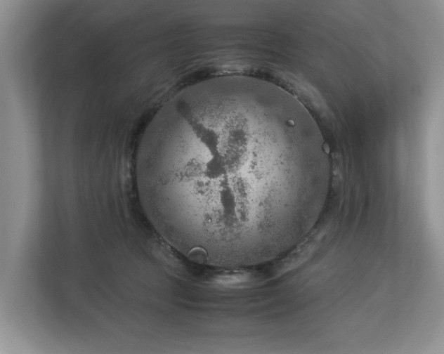 X0000112950369200908241347