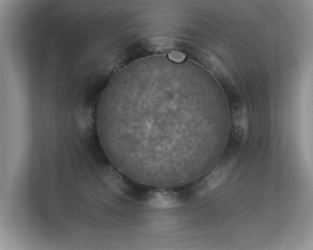 X0000112950372200908241347