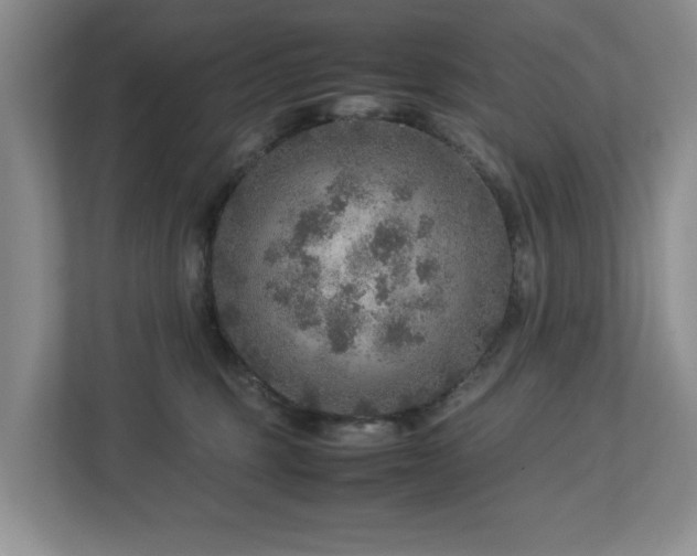 X0000112950375200908241347