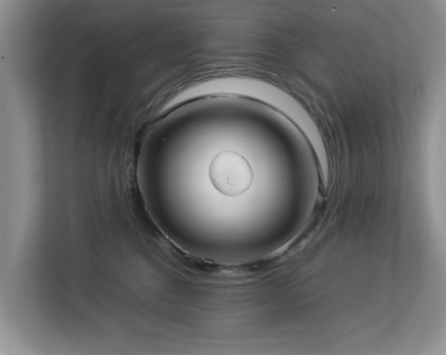 X0000112950376200908241347