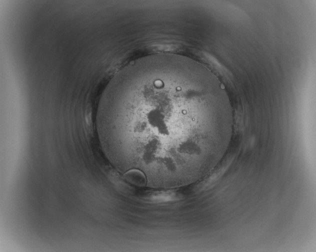 X0000112950377200908241347