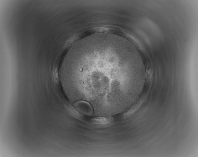 X0000112950381200908241347