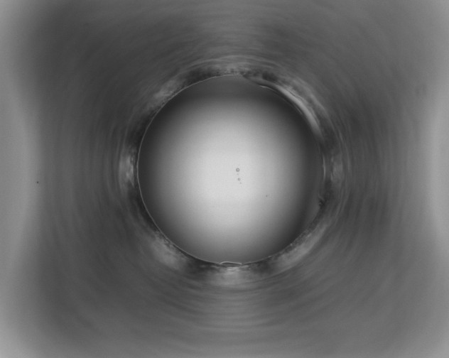 X0000112950382200908241347