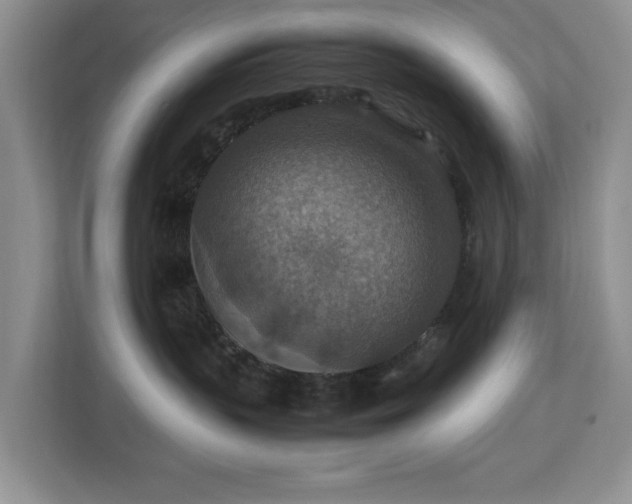 X0000112950383200908241347