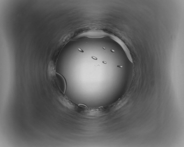 X0000112950384200908241347