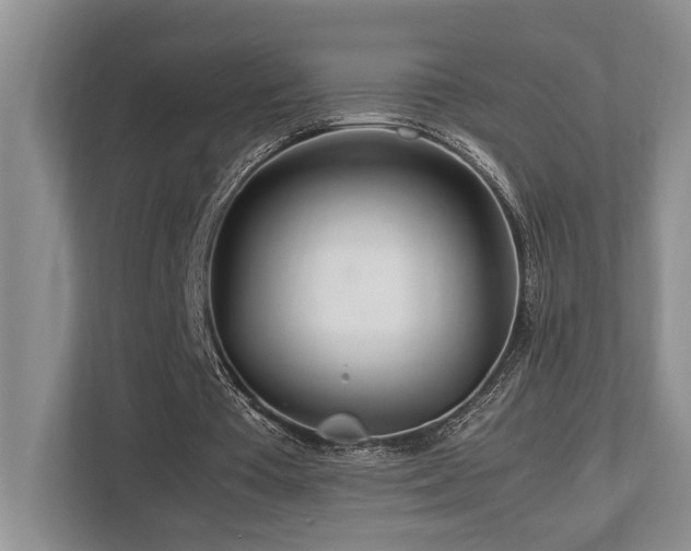 X0000112950385200908241347