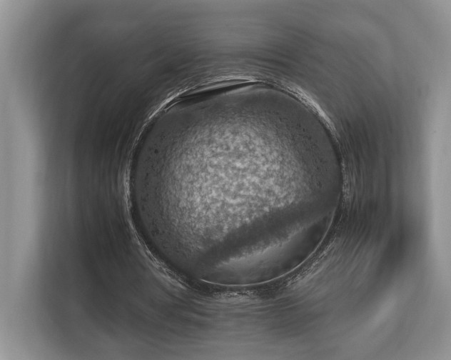 X0000112950386200908241347