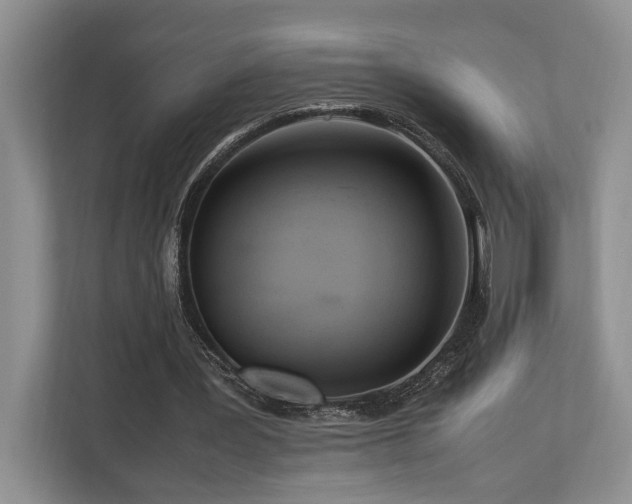 X0000112950387200908241347