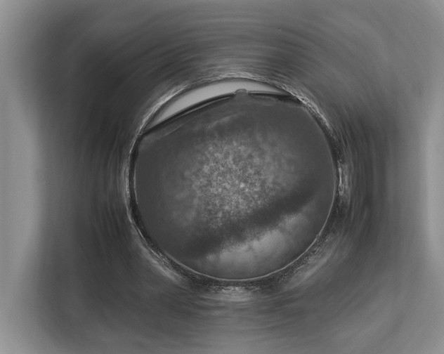 X0000112950390200908241347