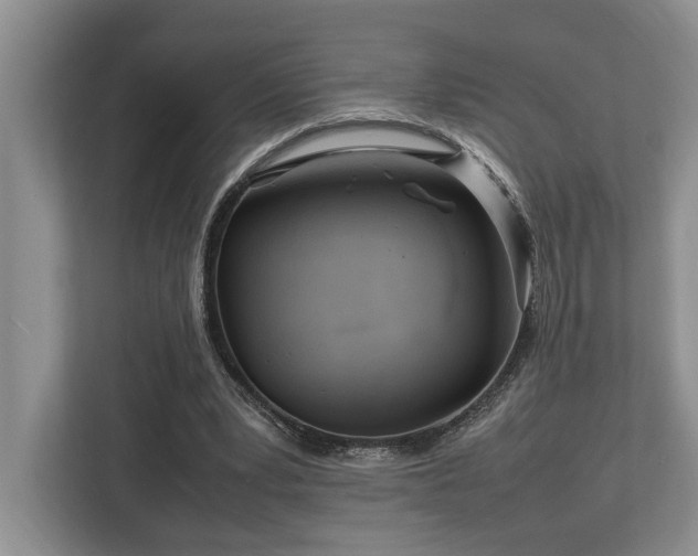 X0000112950391200908241347