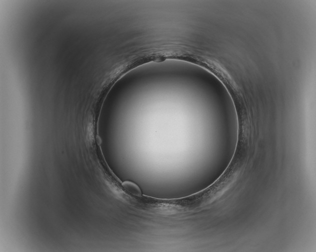 X0000112950393200908241347