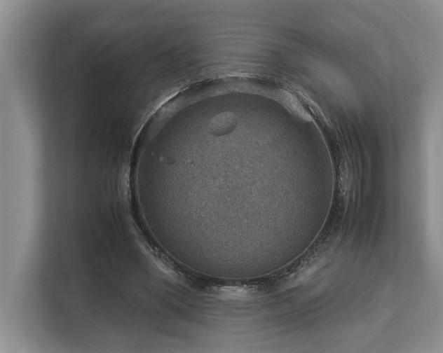 X0000112950394200908241347