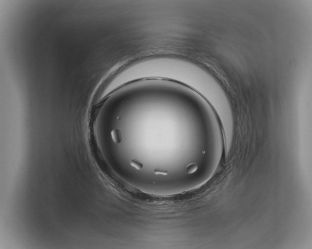 X0000112950395200908241347