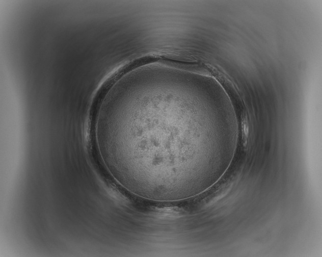 X0000112950396200908241347