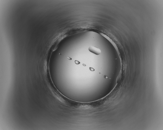 X0000112950397200908241347