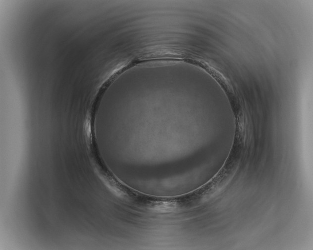 X0000112950398200908241347