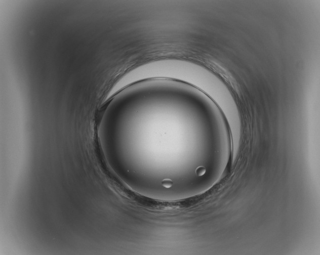 X0000112950401200908241347