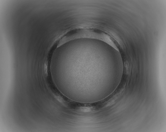 X0000112950404200908241347