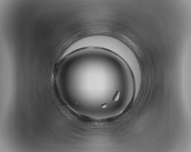 X0000112950405200908241347