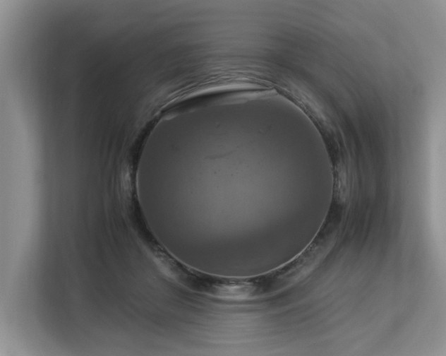 X0000112950410200908241347